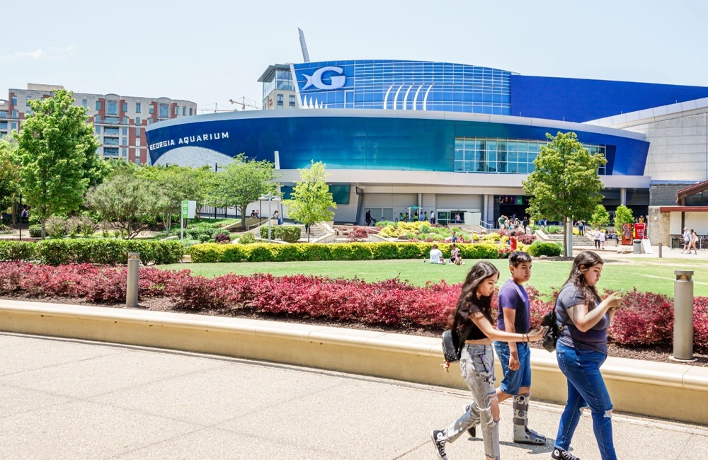 The Georgia Aquarium